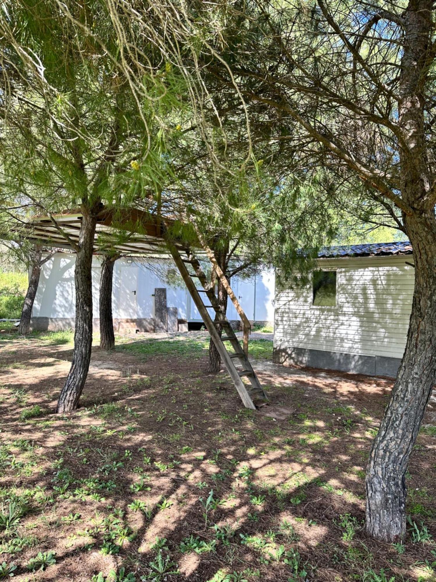 Bungalow Infanta Torrelaguna Exterior foto